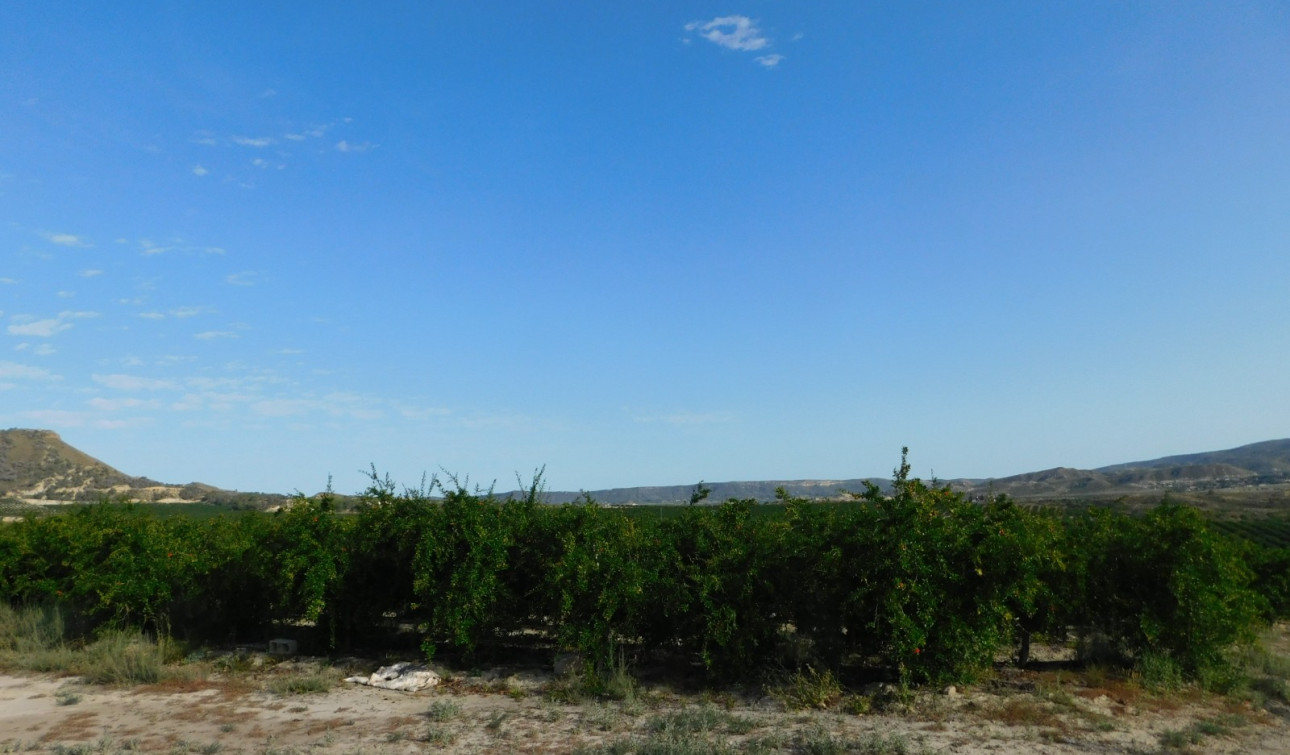 Resale - Plot / Land - Torremendo