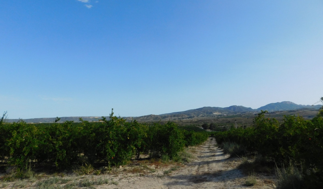 Resale - Plot / Land - Torremendo