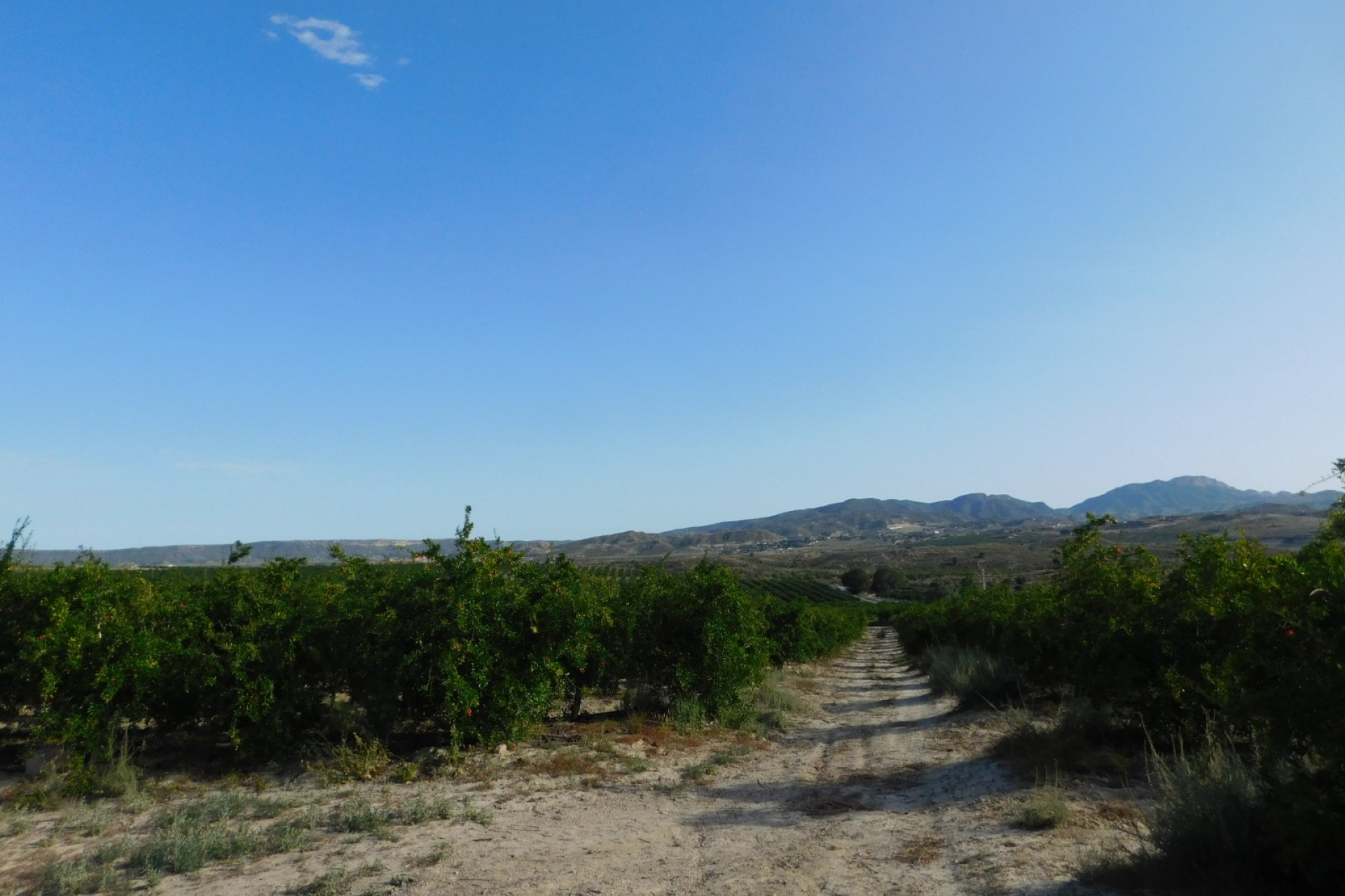 Resale - Plot / Land - Torremendo