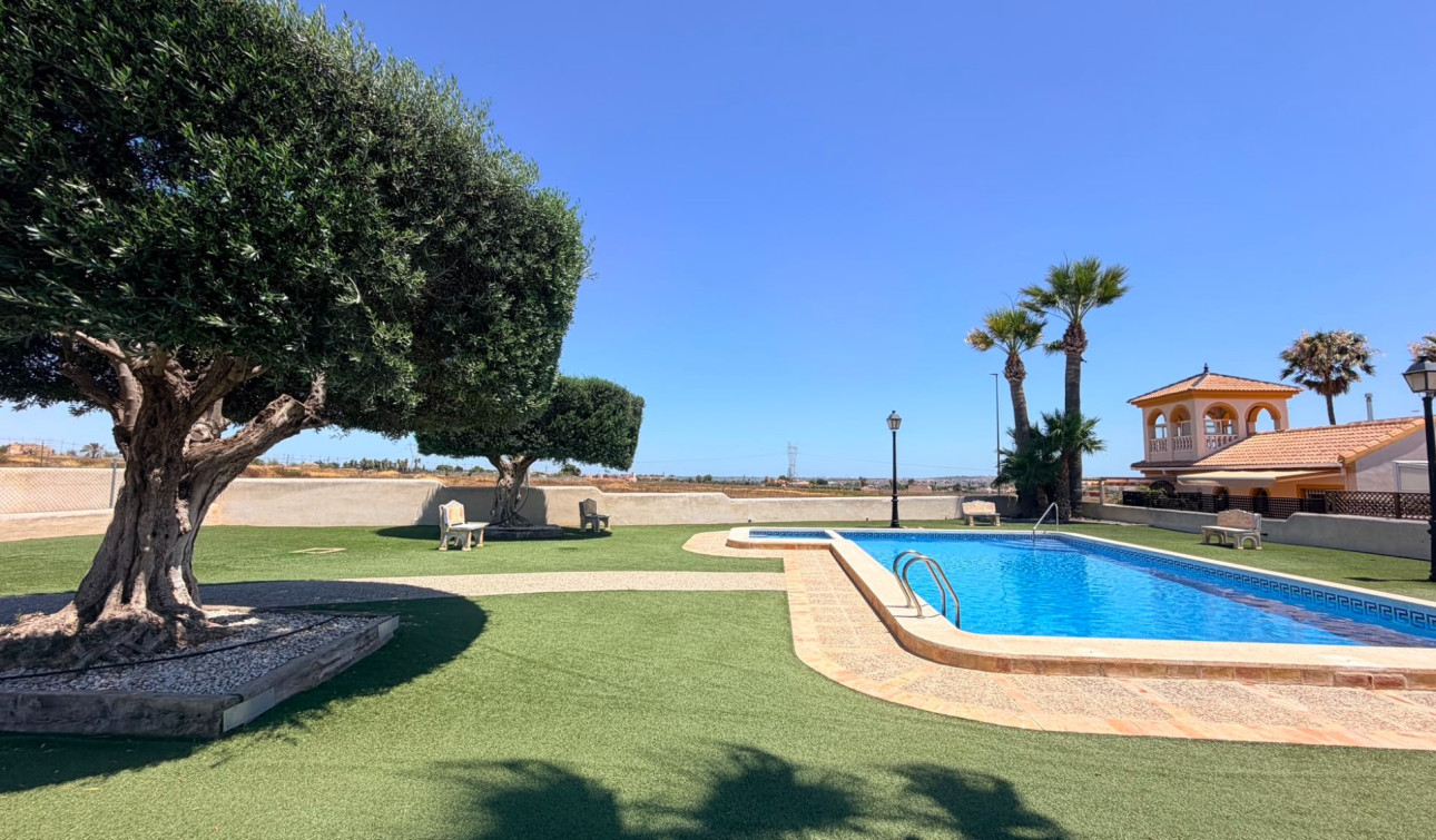 Resale - Semi - Detached Villa - Los Montesinos - Urbanizacion montesol