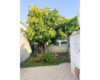 Resale - Semi - Detached Villa - Orihuela Costa - Punta Prima