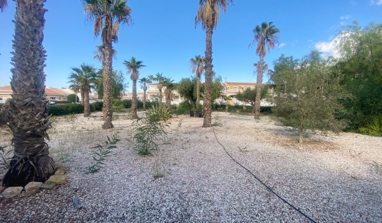 Resale - Town House - Benijofar - Monte Azul/ El Dorado