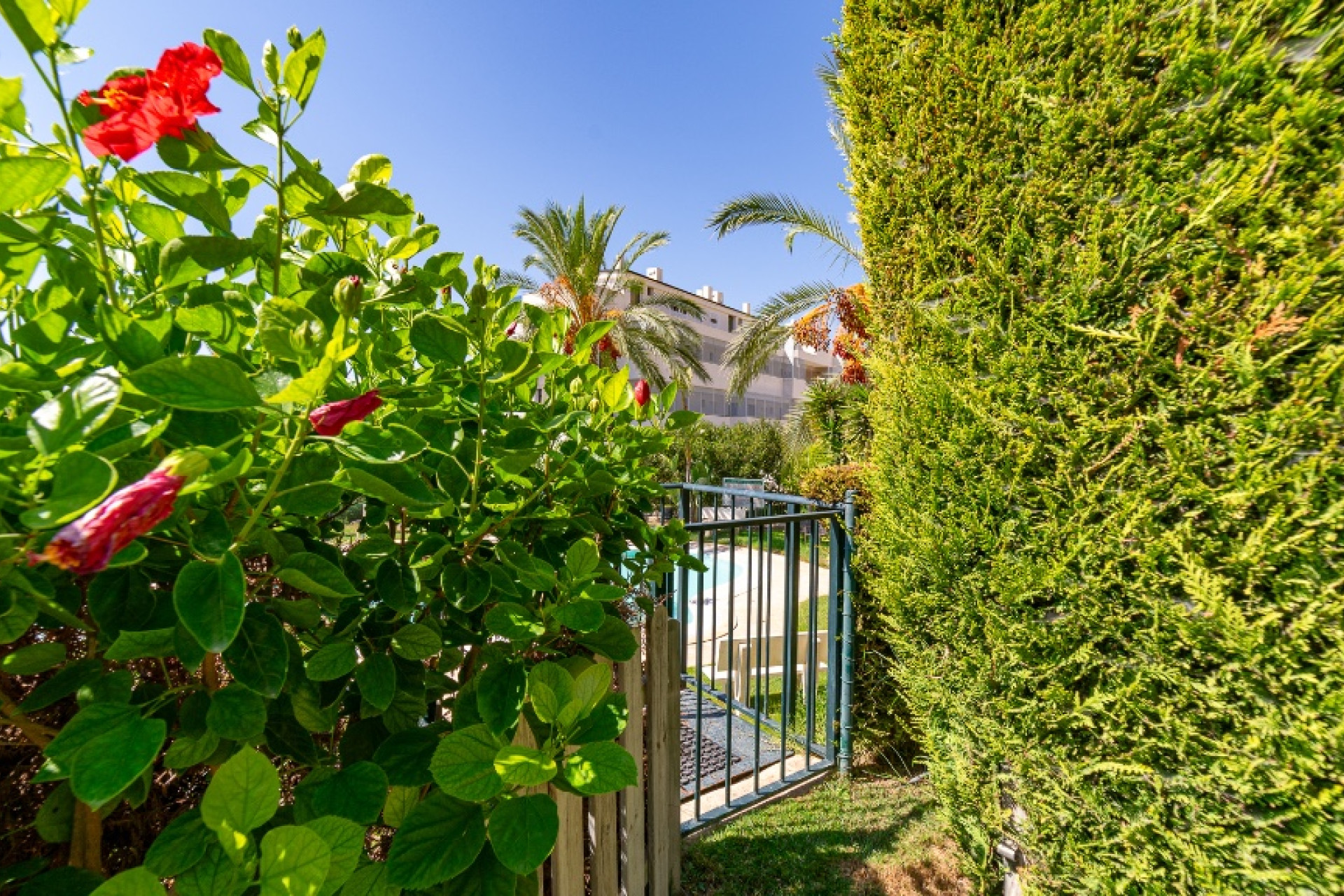 Resale - Town House - Finestrat