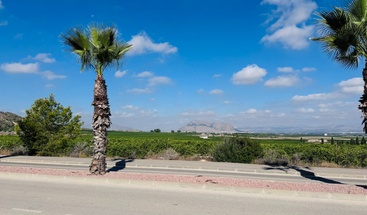 Reventa - Apartamento / Piso - Algorfa