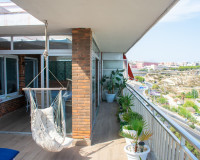 Reventa - Apartamento / Piso - Alicante - Casco antiguo