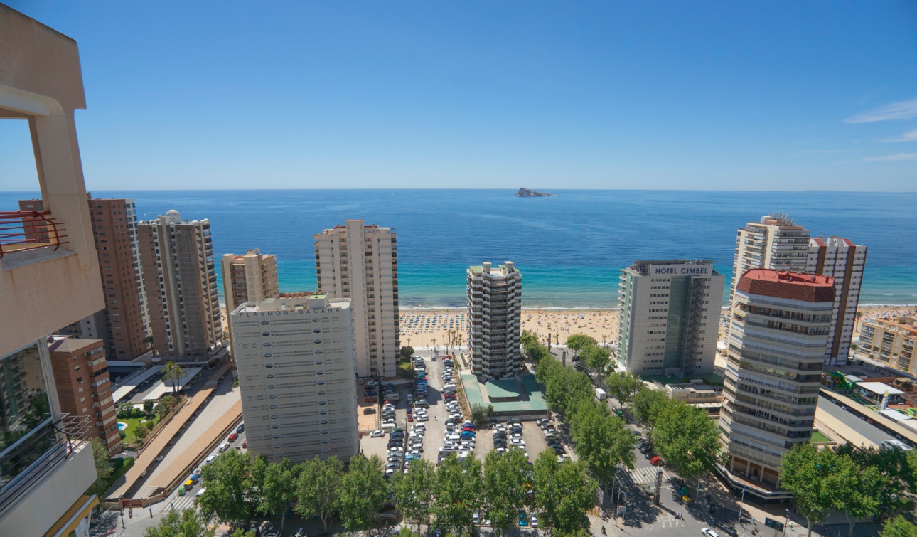 Reventa - Apartamento / Piso - Benidorm