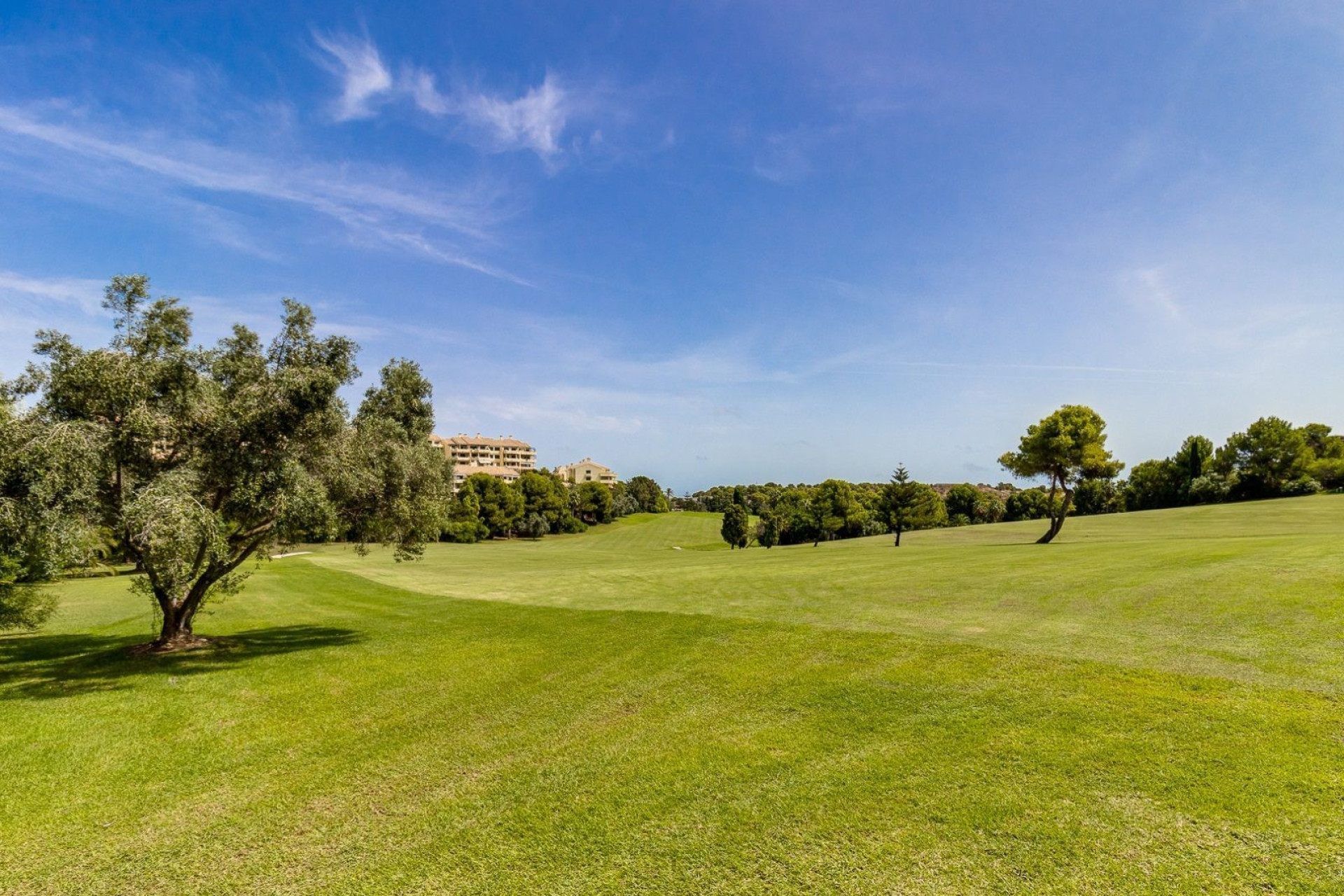 Reventa - Apartamento / Piso - Dehesa de Campoamor - Campoamor