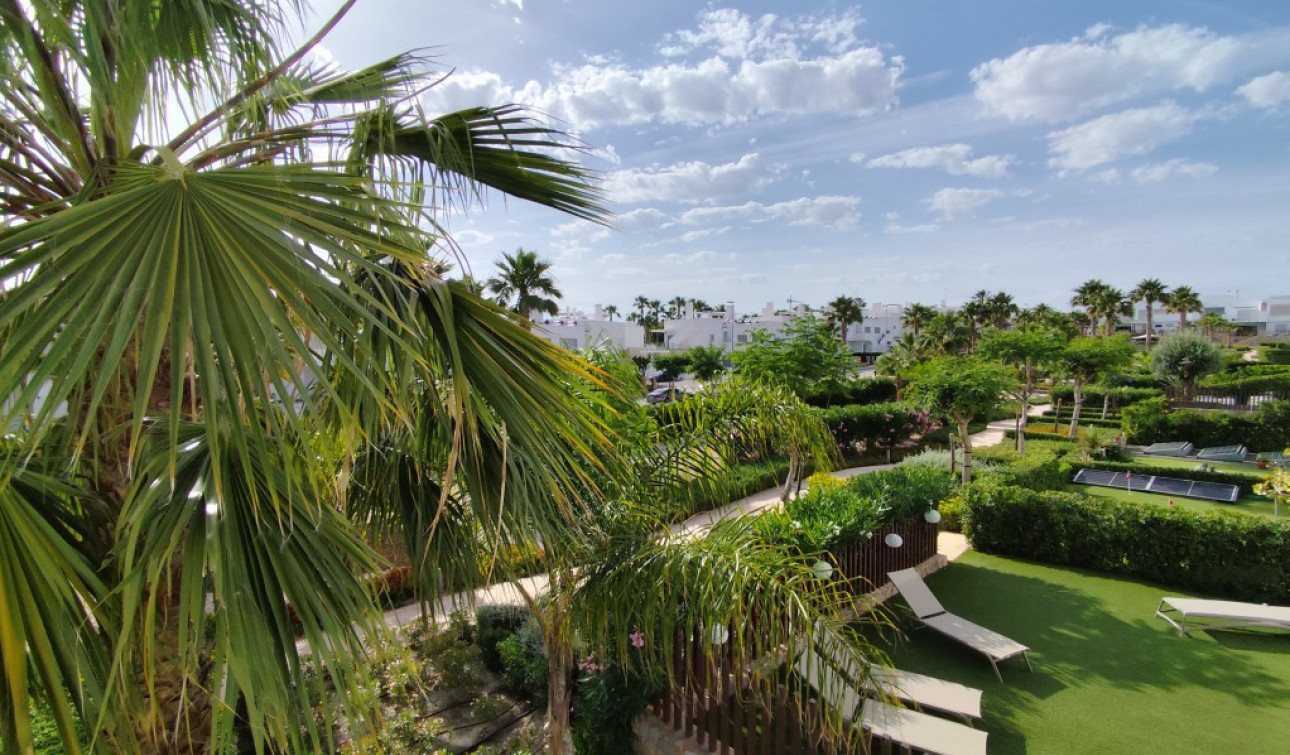 Reventa - Apartamento / Piso - Entre Naranjos - Vistabella Golf