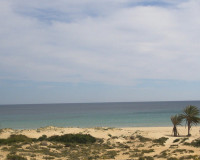 Reventa - Apartamento / Piso - Gran Alacant