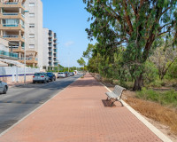 Reventa - Apartamento / Piso - Guardamar del Segura - Guardamar