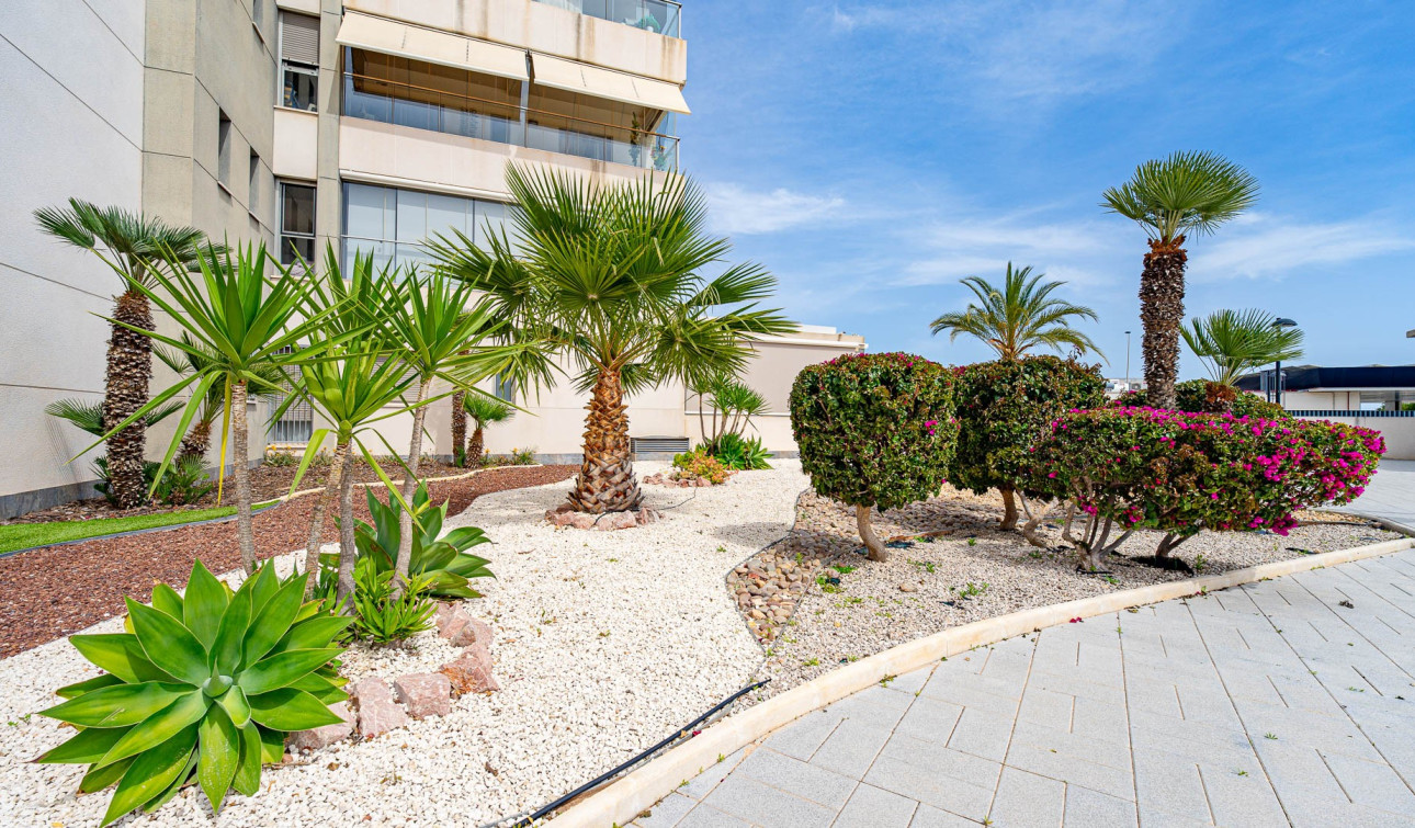 Reventa - Apartamento / Piso - Los Dolses - Villamartin