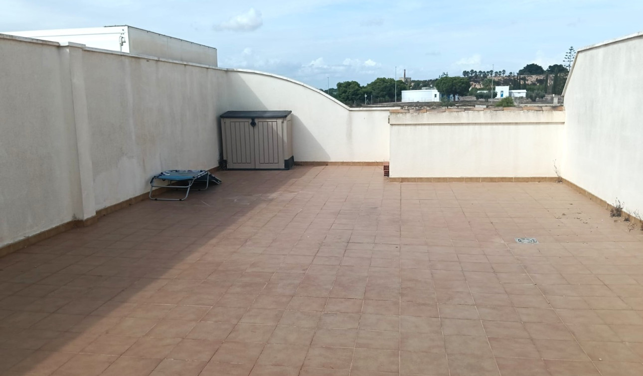 Reventa - Apartamento / Piso - Los Montesinos - Urbanizacion montesol
