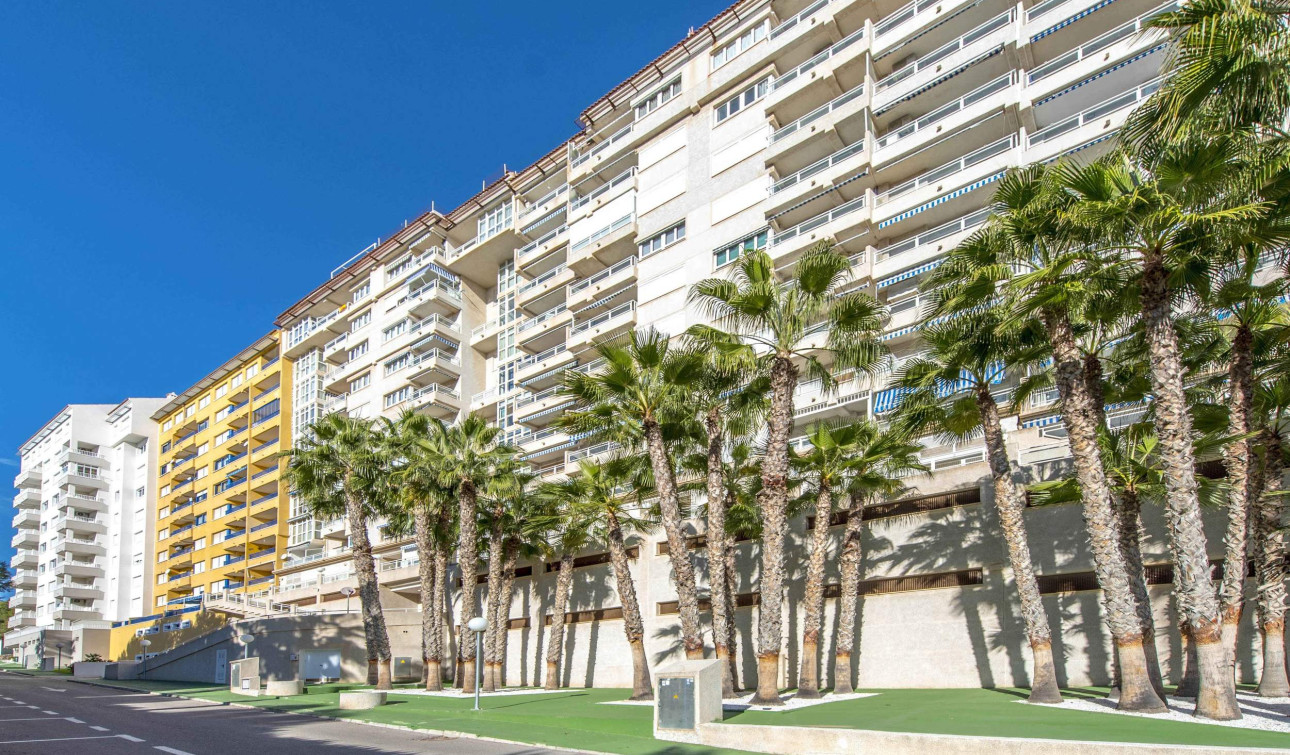 Reventa - Apartamento / Piso - Orihuela Costa - Campoamor