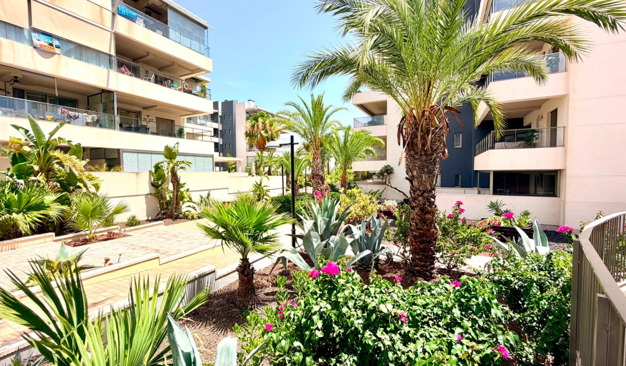 Reventa - Apartamento / Piso - Orihuela Costa - La Zenia