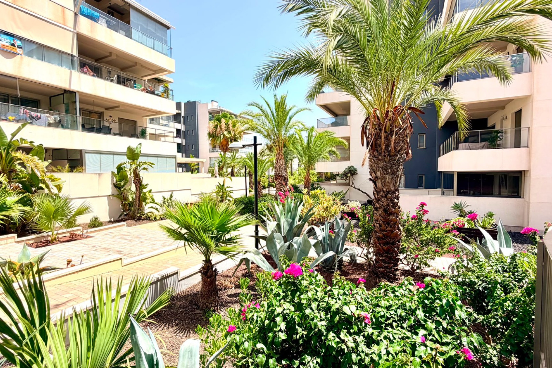 Reventa - Apartamento / Piso - Orihuela Costa - La Zenia