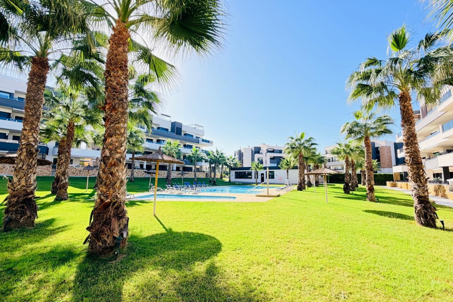 Reventa - Apartamento / Piso - Orihuela Costa - Los Altos