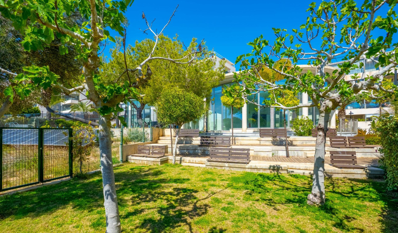 Reventa - Apartamento / Piso - Orihuela Costa - Los Dolses