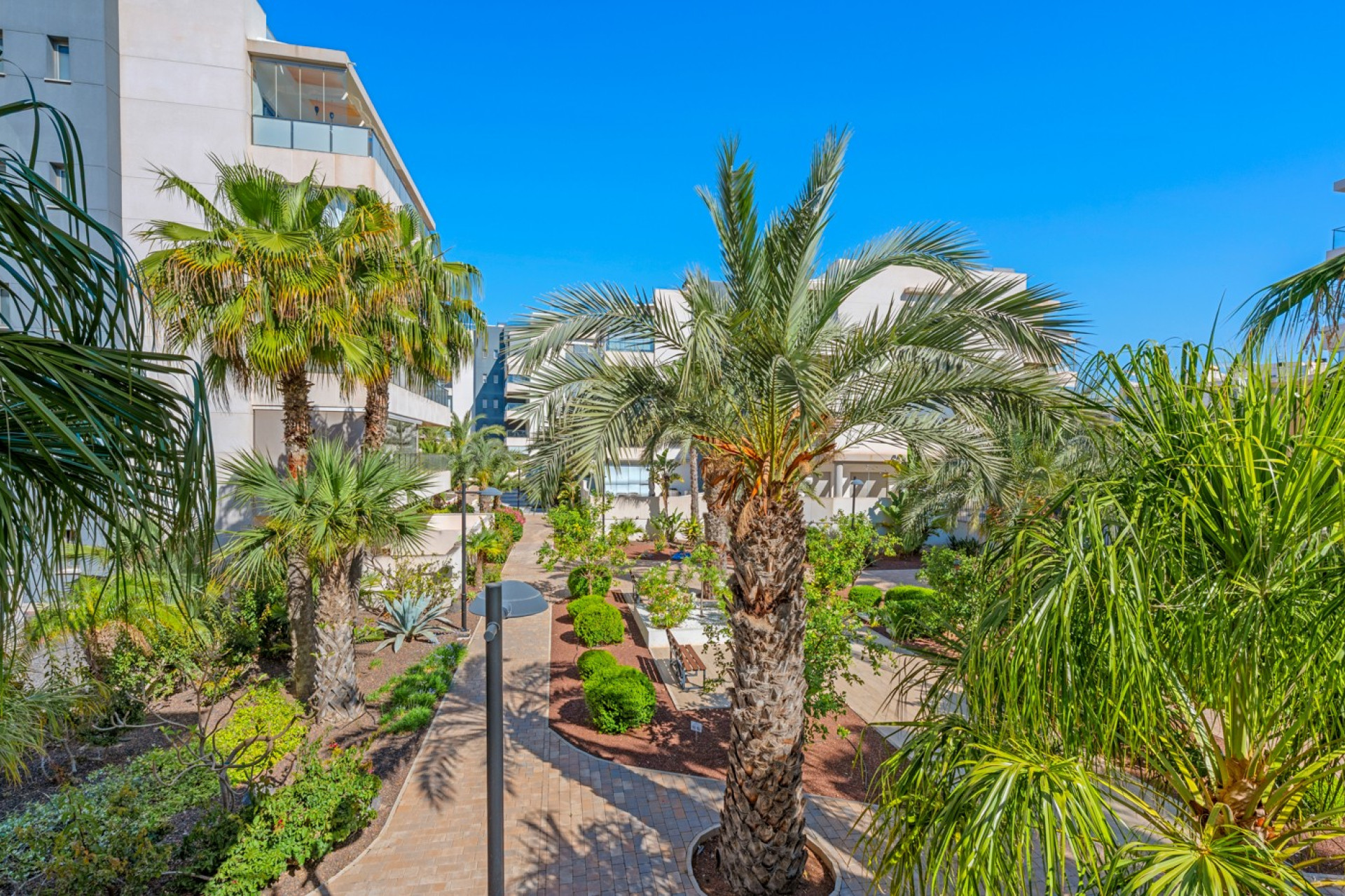 Reventa - Apartamento / Piso - Orihuela Costa - Los Dolses