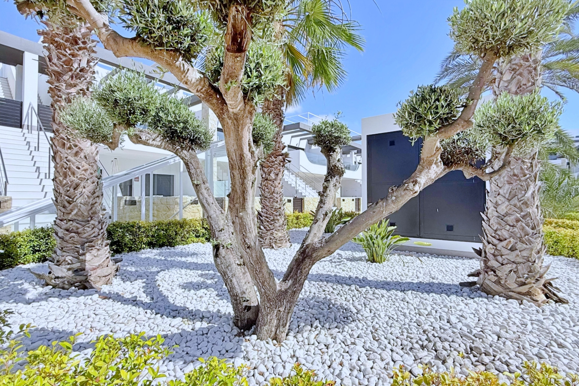Reventa - Apartamento / Piso - Orihuela Costa - Punta Prima