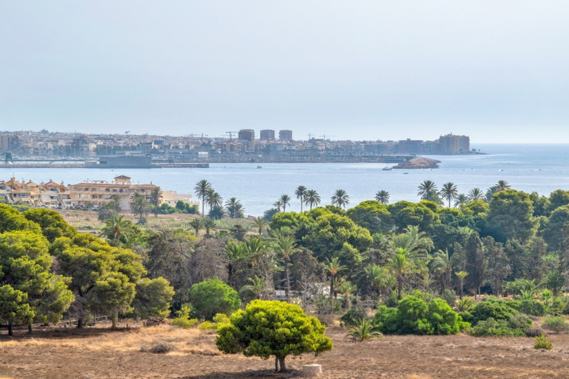 Reventa - Apartamento / Piso - Orihuela Costa - Punta Prima