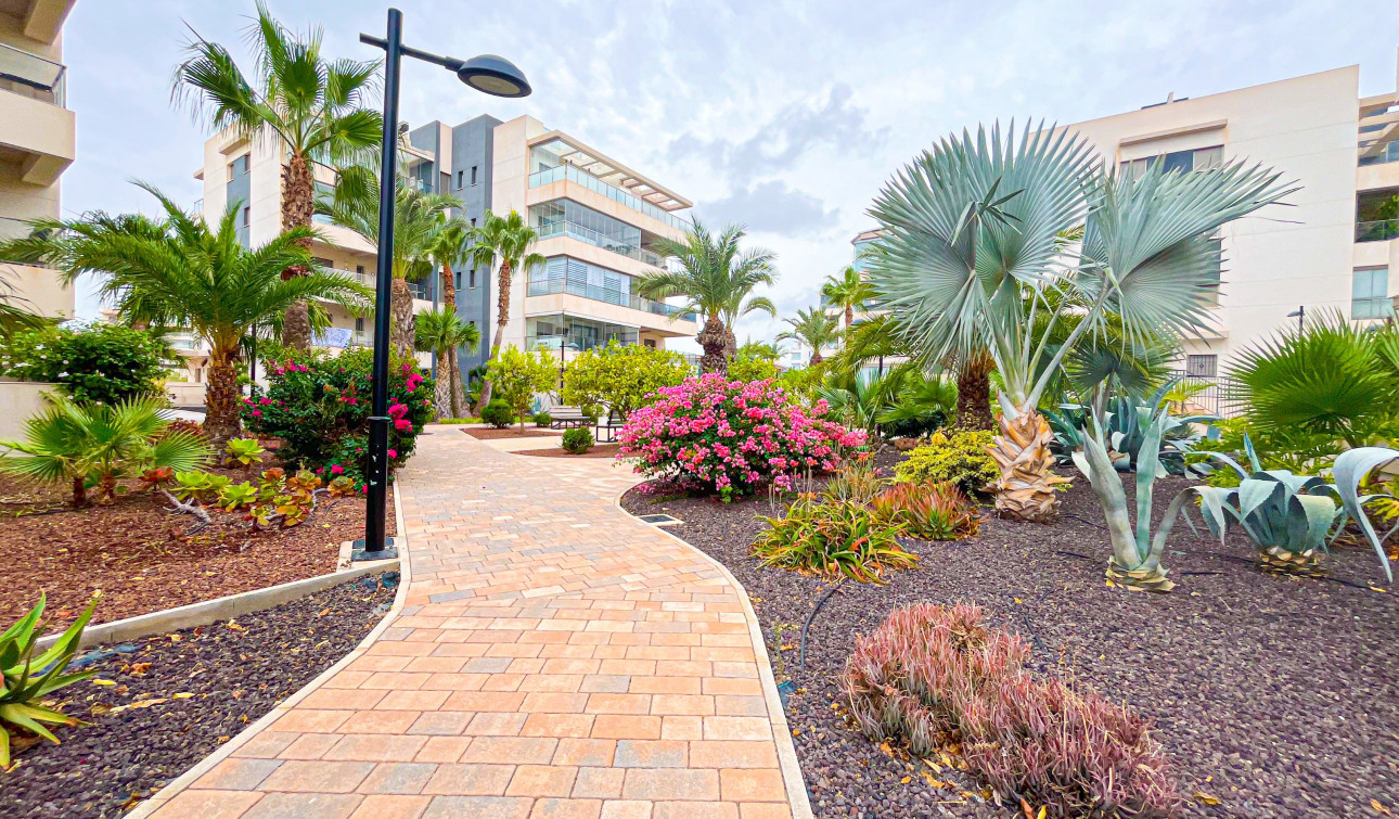 Reventa - Apartamento / Piso - Orihuela Costa - Villamartín