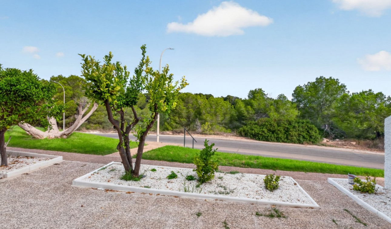 Reventa - Apartamento / Piso - Orihuela Costa - Villamartín
