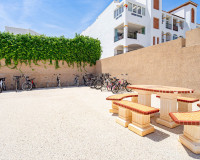 Reventa - Apartamento / Piso - Punta Prima - La Ciñuelica