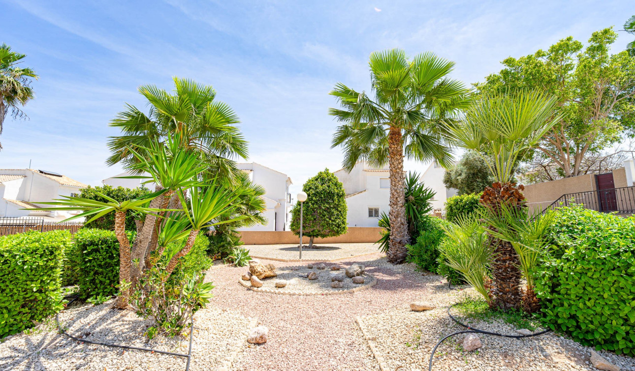 Reventa - Apartamento / Piso - Punta Prima - La Ciñuelica