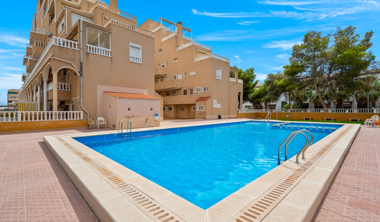 Reventa - Apartamento / Piso - Punta Prima