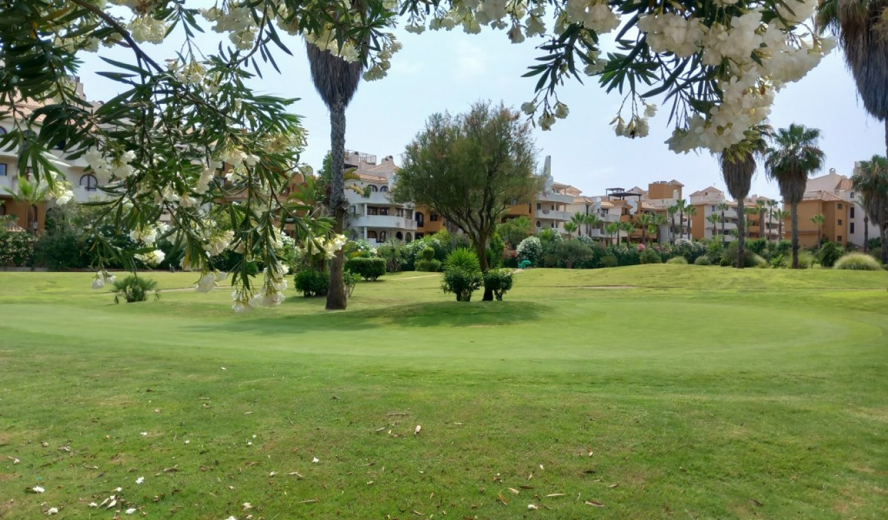 Reventa - Apartamento / Piso - Punta Prima