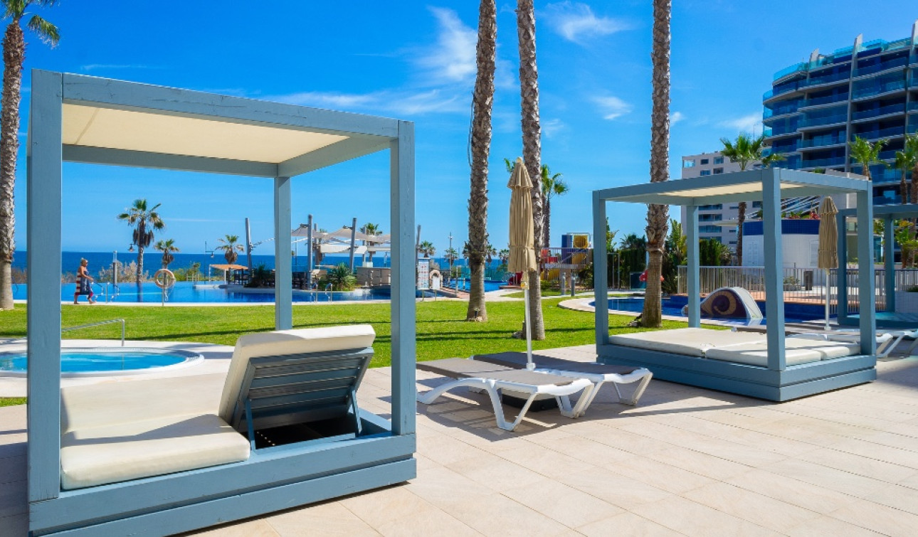 Reventa - Apartamento / Piso - Punta Prima