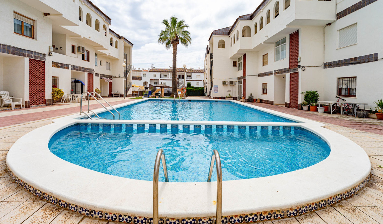 Reventa - Apartamento / Piso - Punta Prima