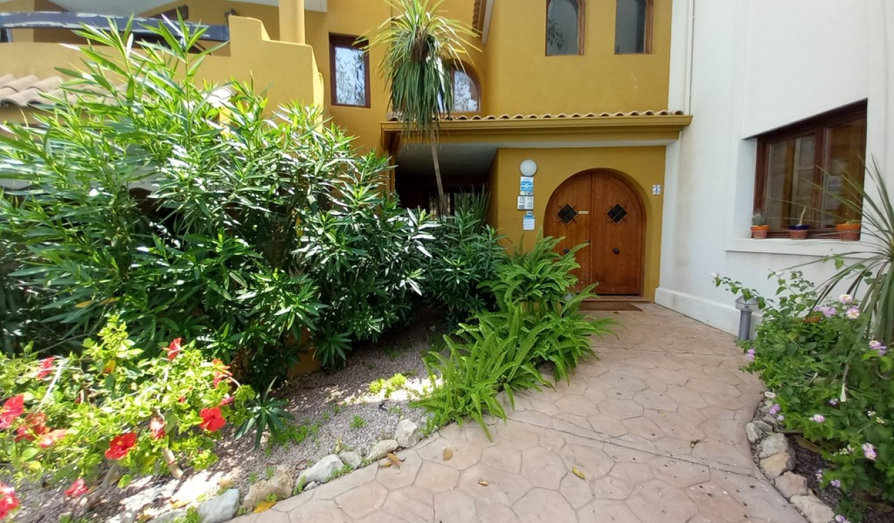 Reventa - Apartamento / Piso - Punta Prima