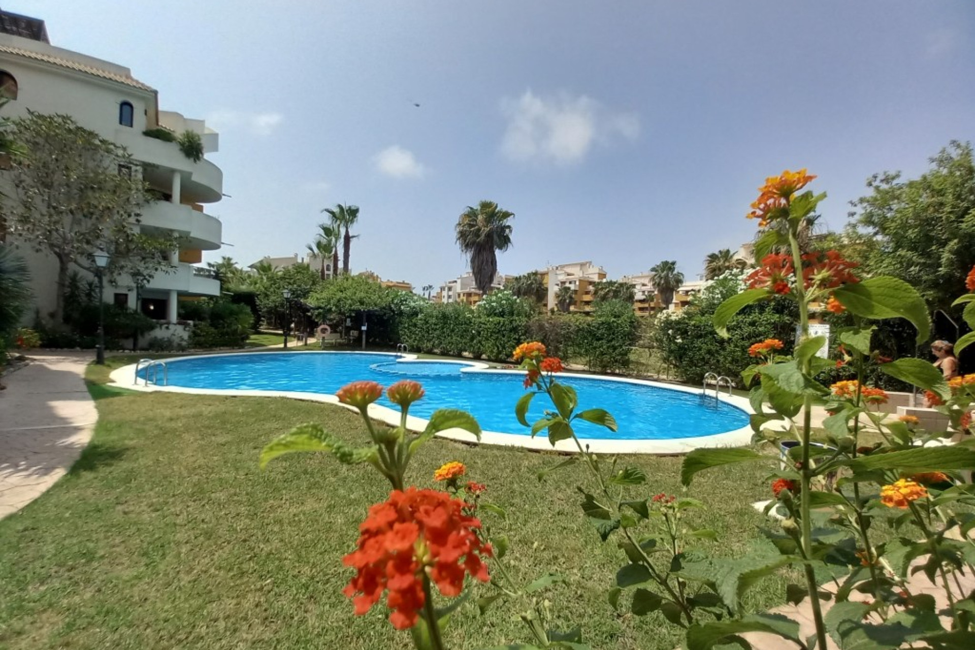 Reventa - Apartamento / Piso - Punta Prima