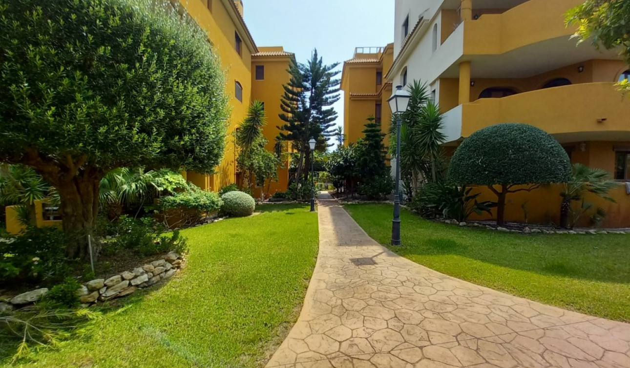 Reventa - Apartamento / Piso - Punta Prima