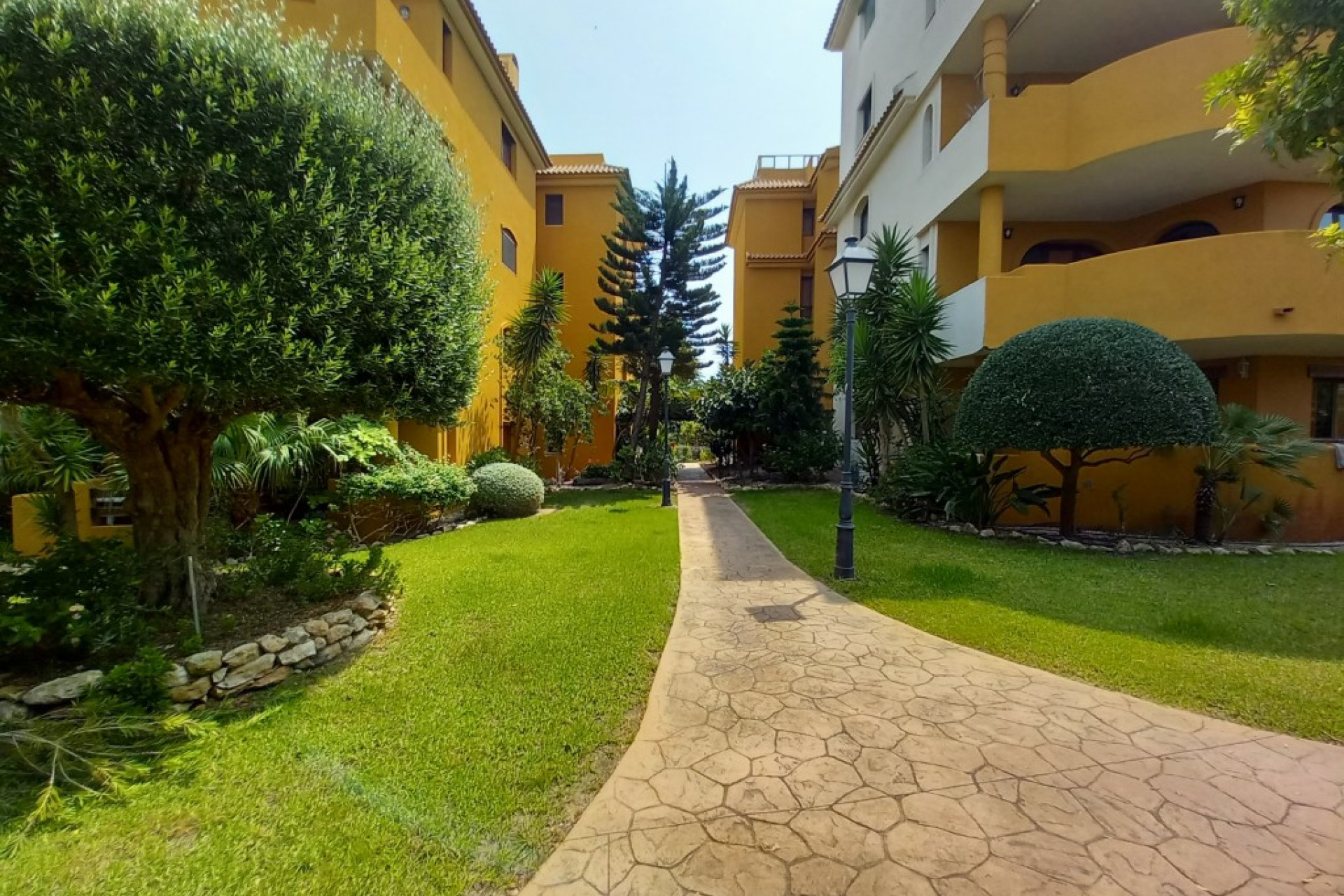 Reventa - Apartamento / Piso - Punta Prima