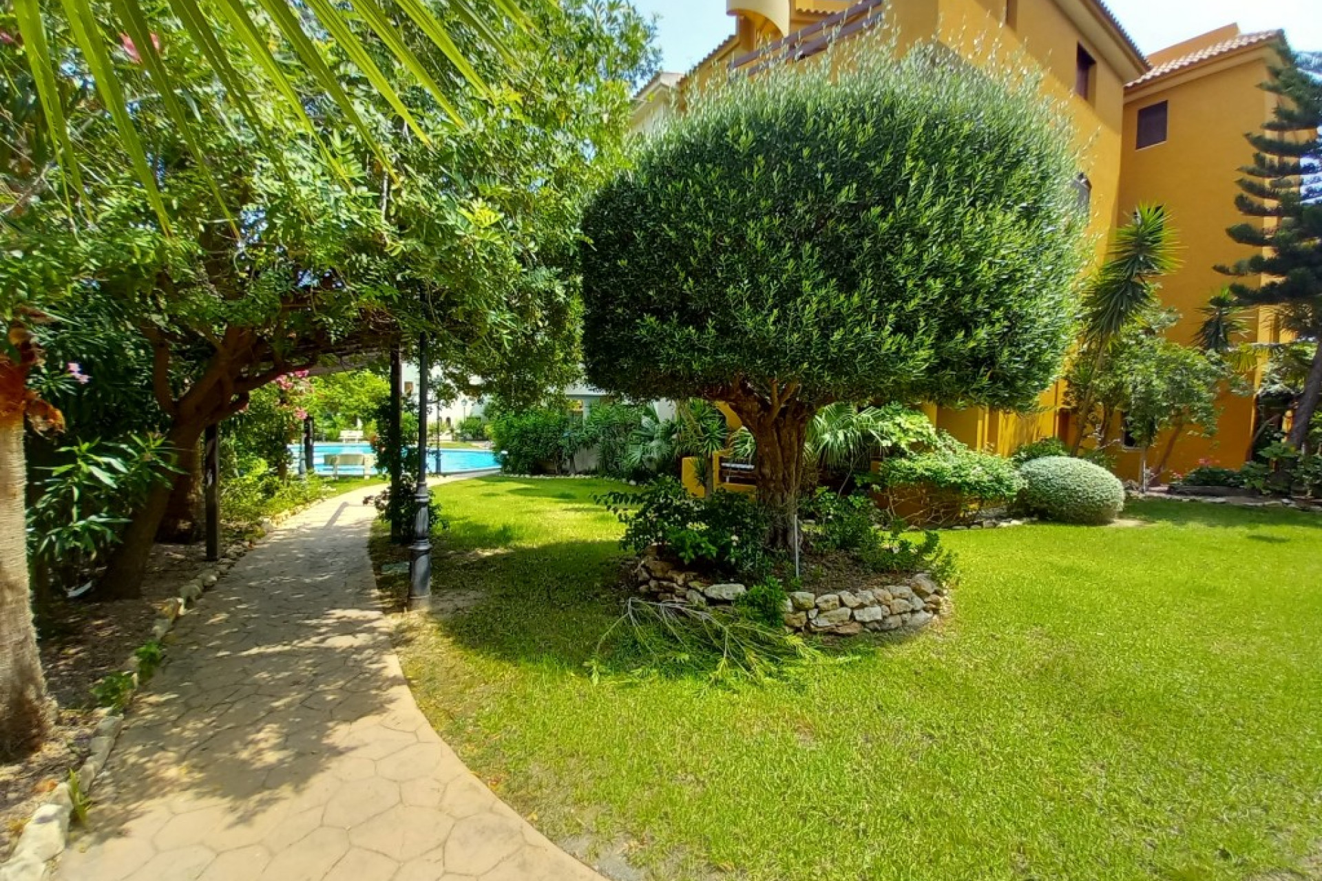 Reventa - Apartamento / Piso - Punta Prima