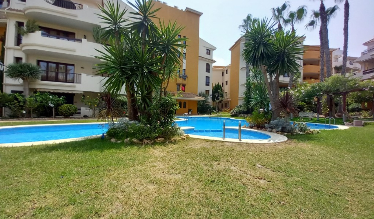 Reventa - Apartamento / Piso - Punta Prima