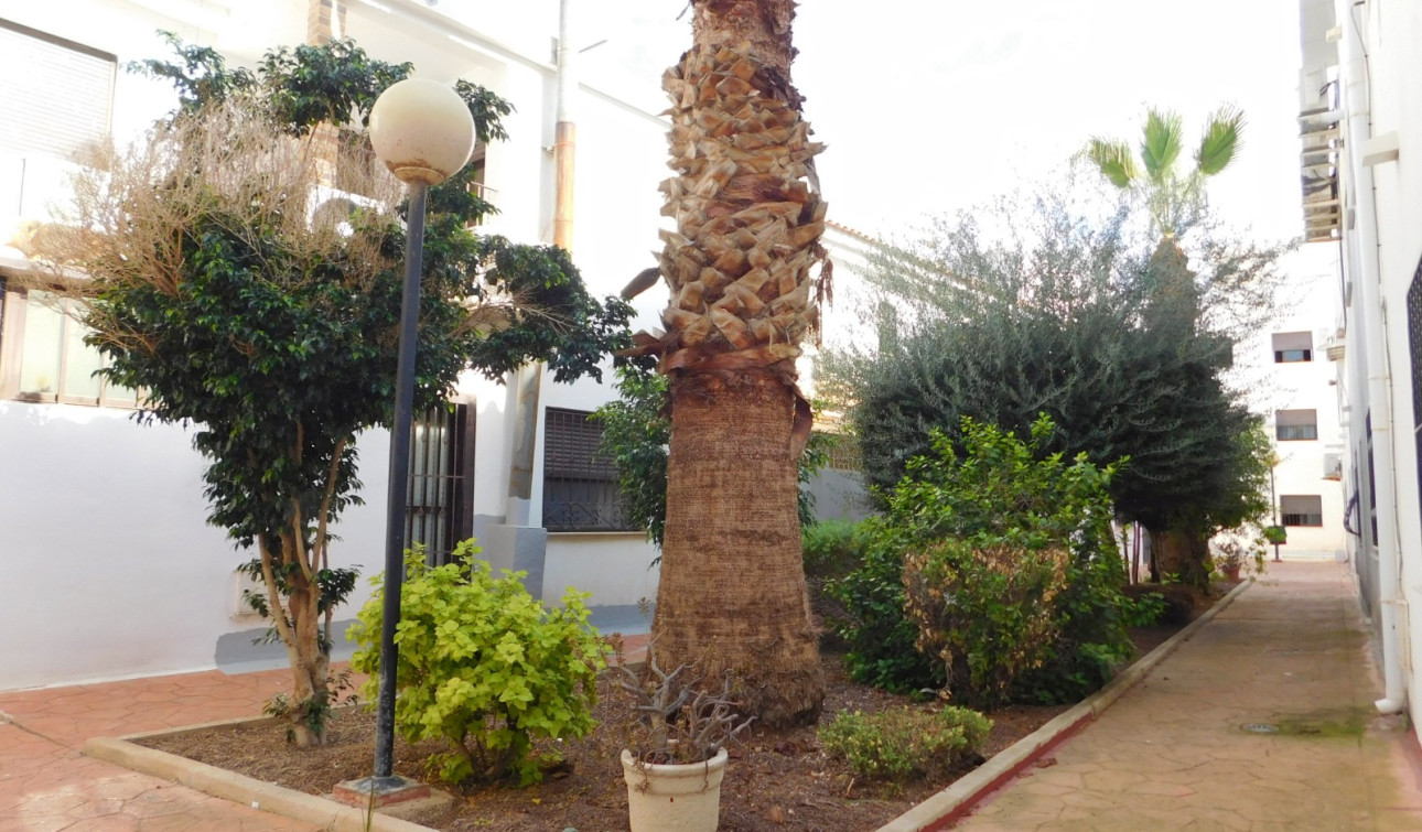 Reventa - Apartamento / Piso - San Miguel de Salinas