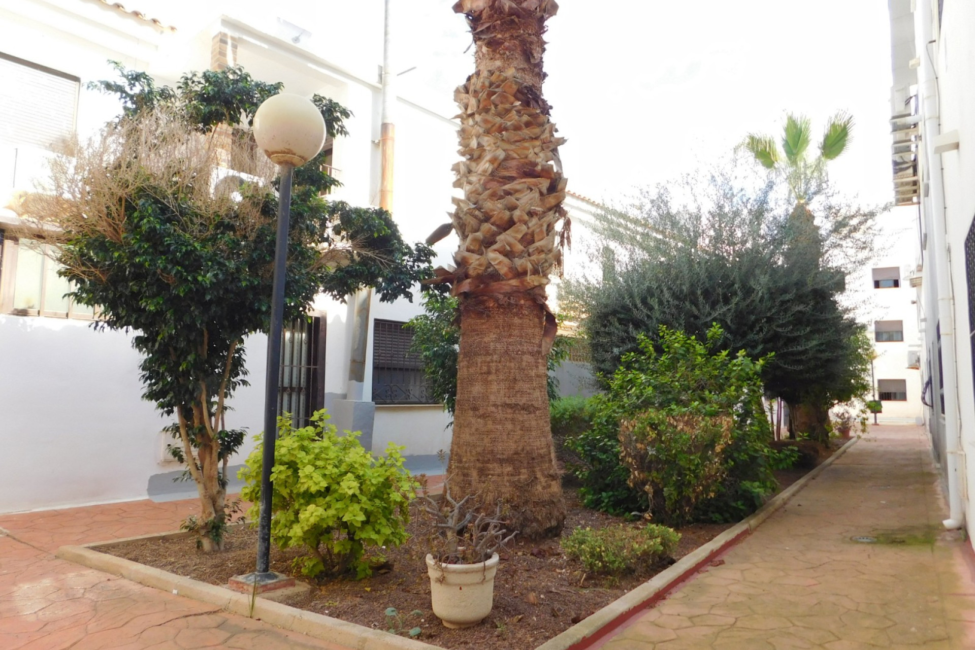 Reventa - Apartamento / Piso - San Miguel de Salinas