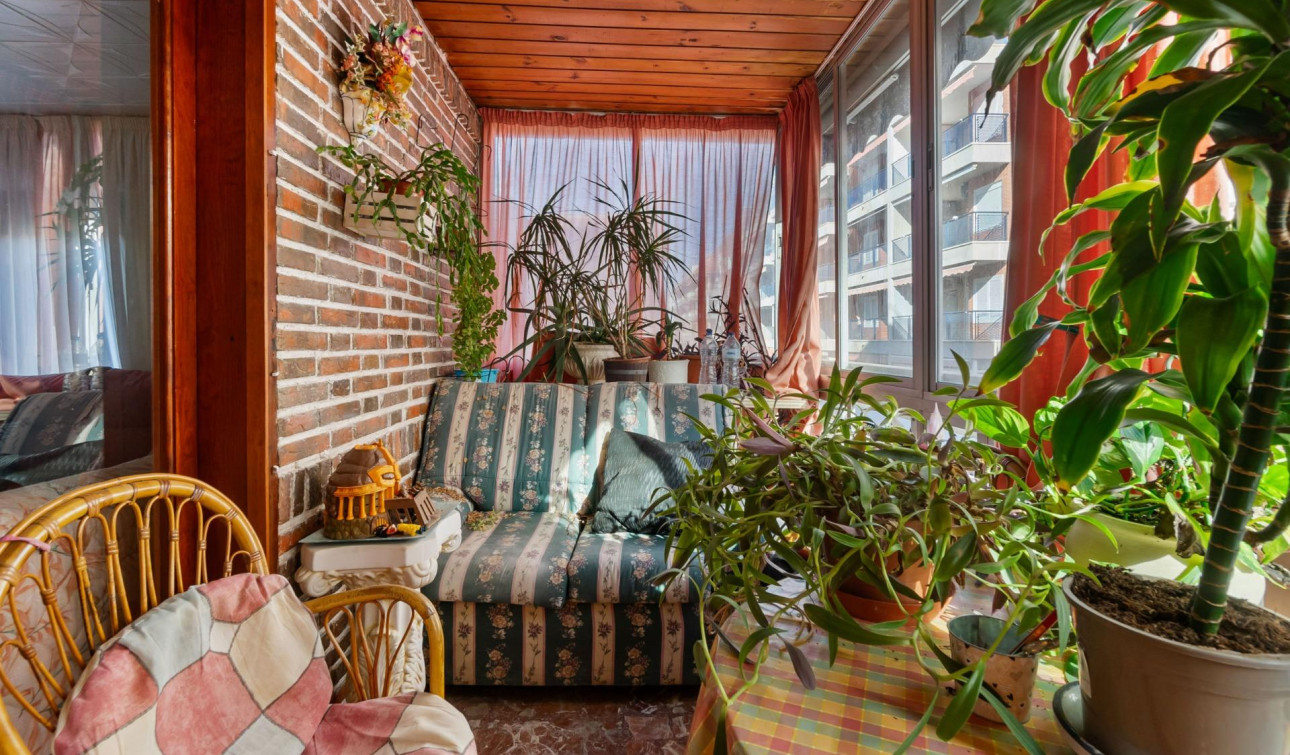 Reventa - Apartamento / Piso - Torrevieja - Acequion