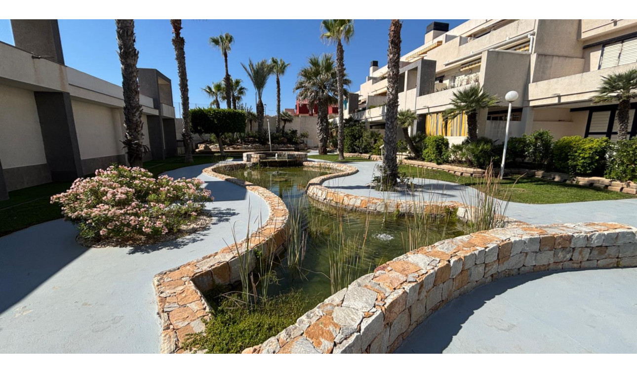 Reventa - Apartamento / Piso - Torrevieja - La Mata