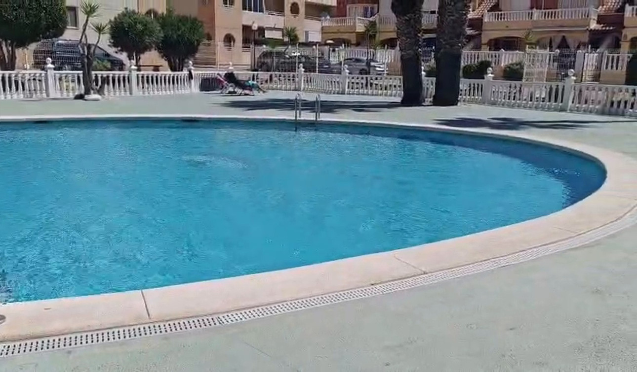 Reventa - Apartamento / Piso - Torrevieja - La Siesta