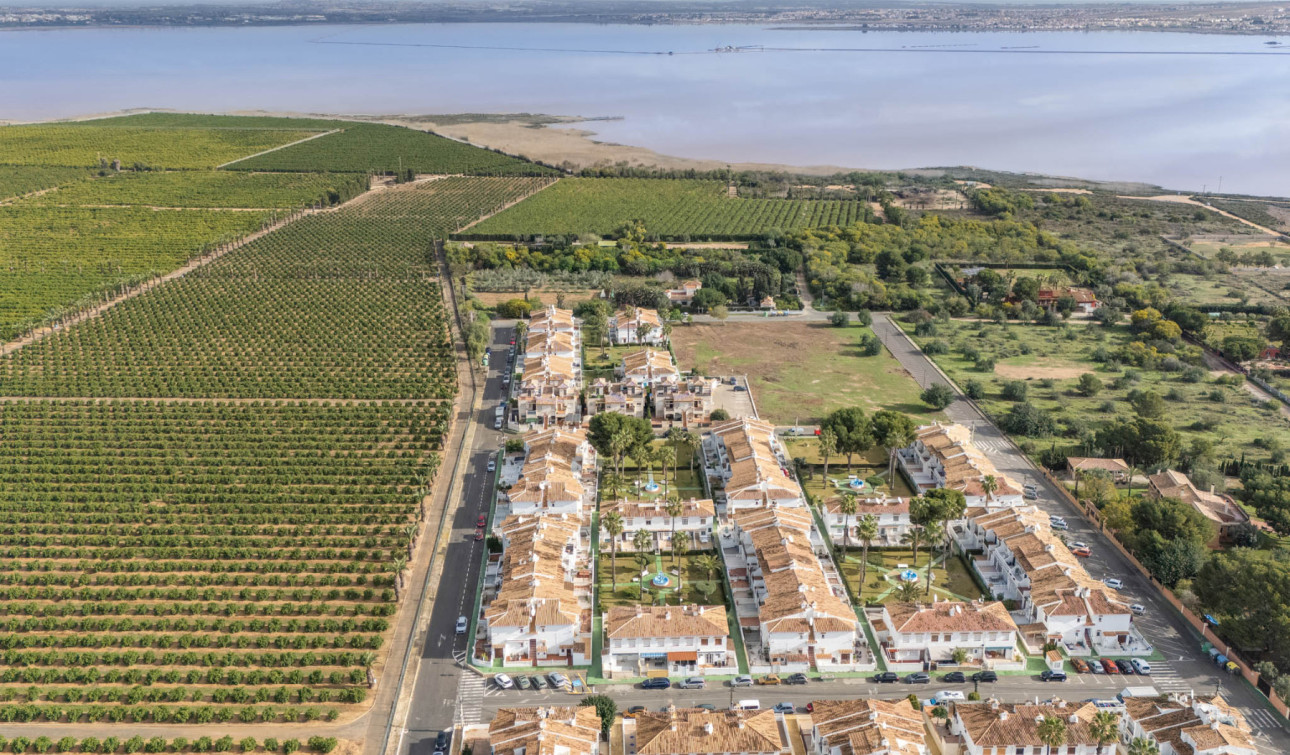 Reventa - Apartamento / Piso - Torrevieja - Lago Jardin