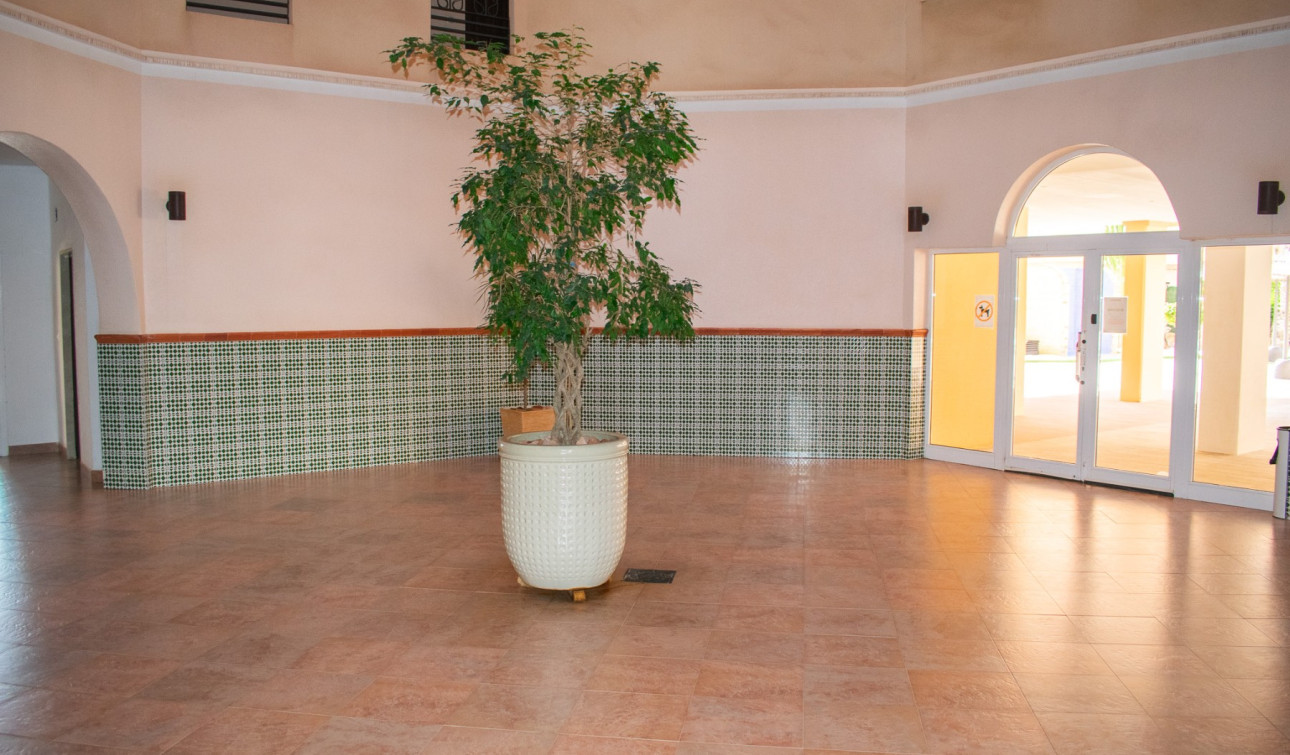 Reventa - Apartamento / Piso - Torrevieja - Playa de los Locos