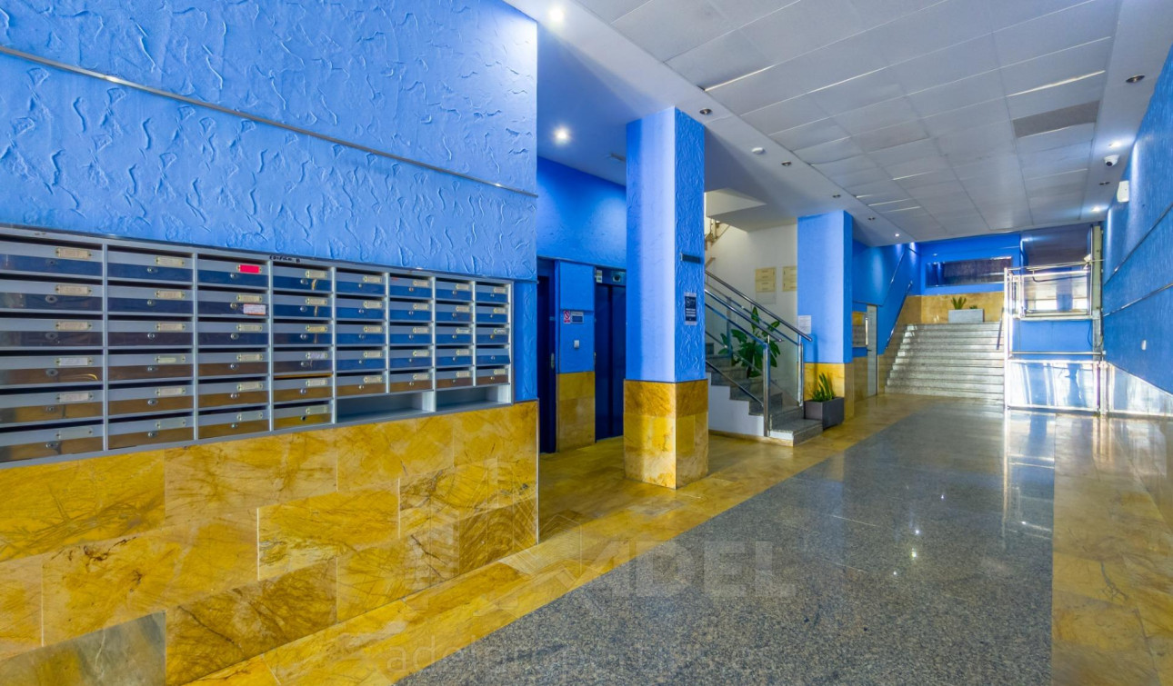 Reventa - Apartamento / Piso - Torrevieja - Playa de los locos