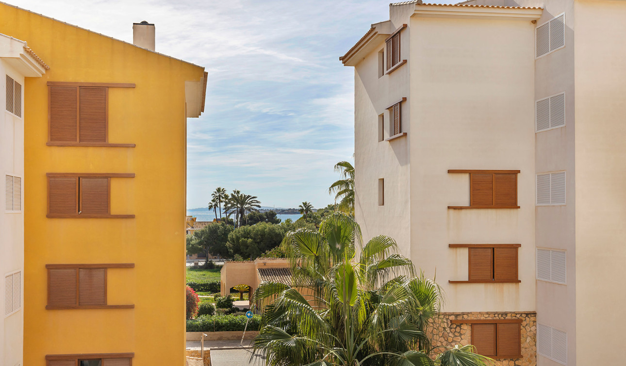 Reventa - Apartamento / Piso - Torrevieja - Punta Prima