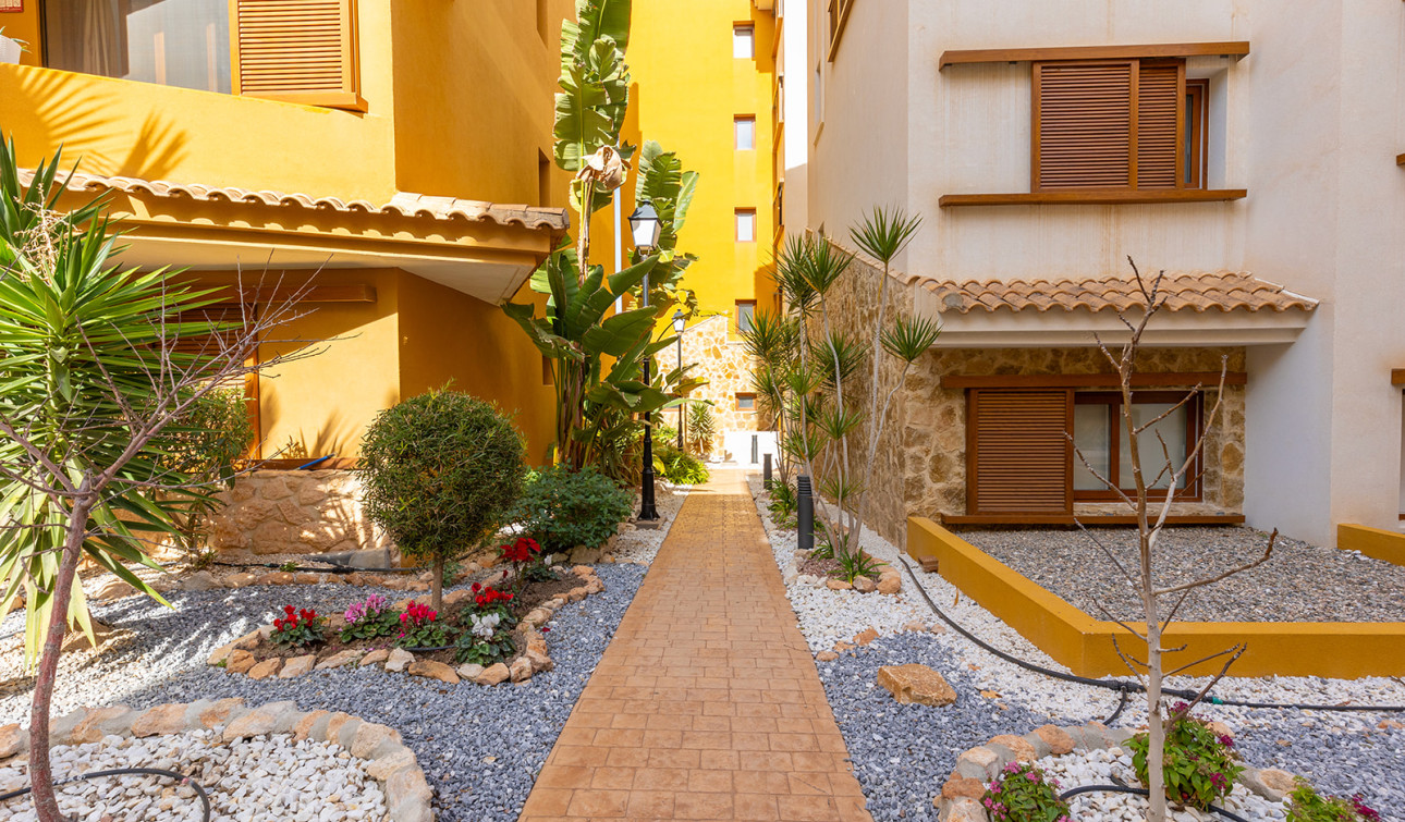 Reventa - Apartamento / Piso - Torrevieja - Punta Prima