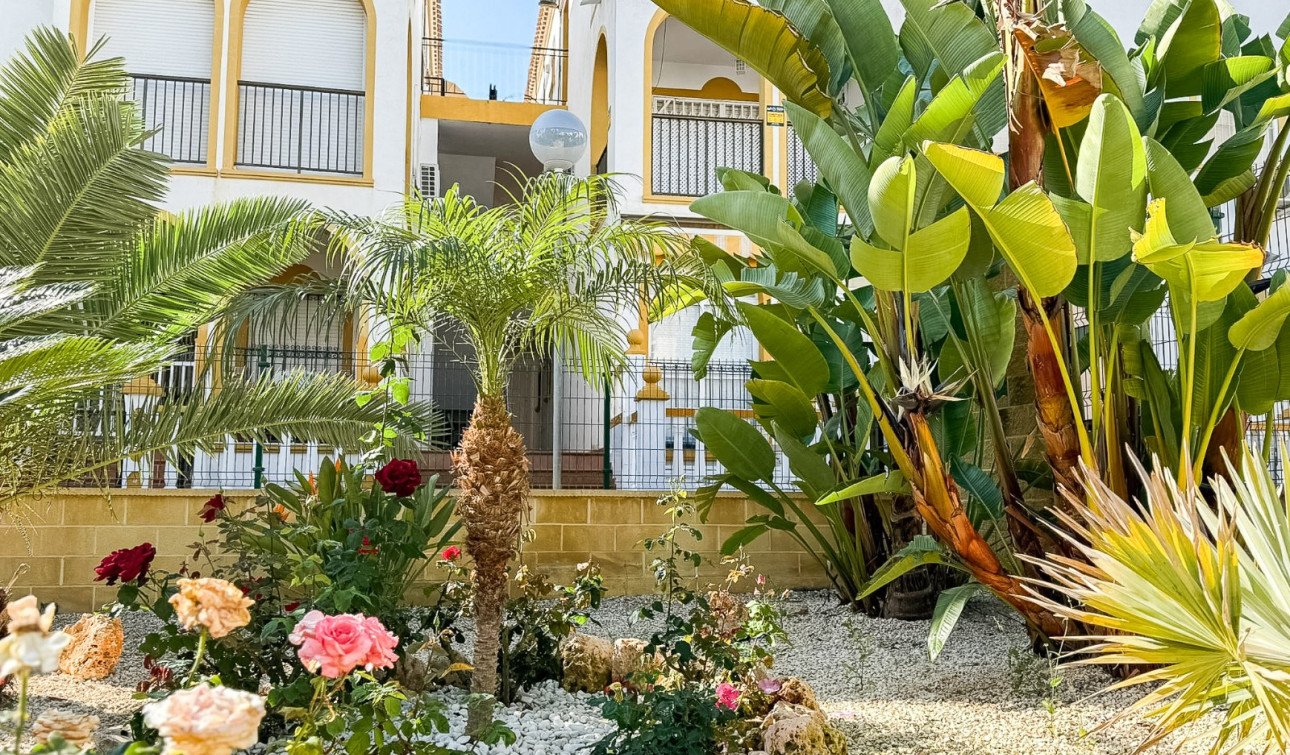 Reventa - Apartamento / Piso - Torrevieja - Torrelamata - La Mata