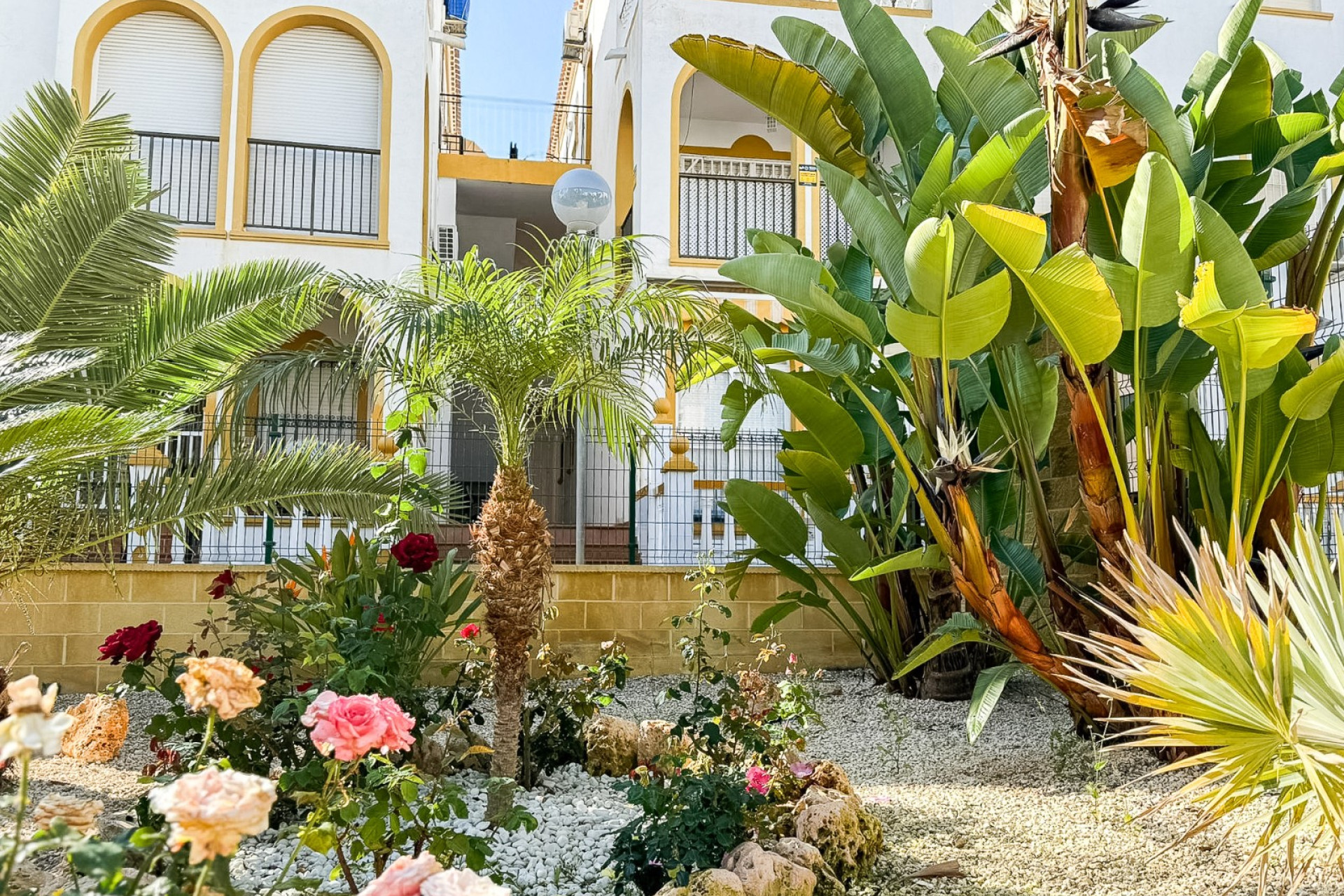 Reventa - Apartamento / Piso - Torrevieja - Torrelamata - La Mata